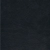 black proline spa cover